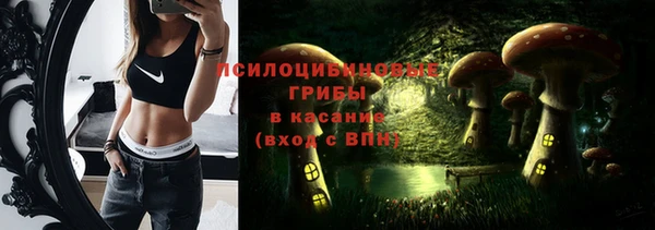ПСИЛОЦИБИНОВЫЕ ГРИБЫ Балабаново