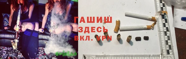 ГАЛЛЮЦИНОГЕННЫЕ ГРИБЫ Баксан