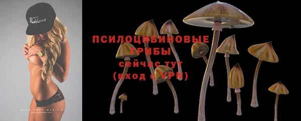 ПСИЛОЦИБИНОВЫЕ ГРИБЫ Балабаново