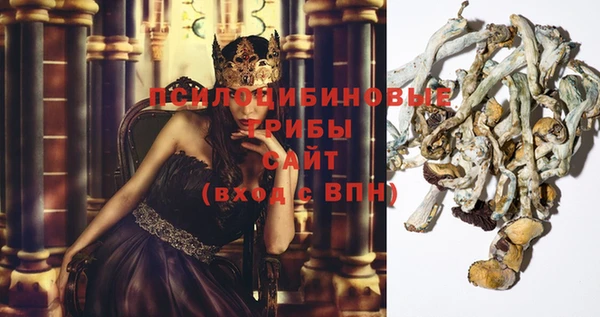 ПСИЛОЦИБИНОВЫЕ ГРИБЫ Балабаново