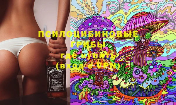 ГАЛЛЮЦИНОГЕННЫЕ ГРИБЫ Баксан