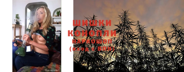 ПСИЛОЦИБИНОВЫЕ ГРИБЫ Балабаново