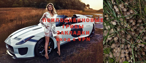ГАЛЛЮЦИНОГЕННЫЕ ГРИБЫ Баксан
