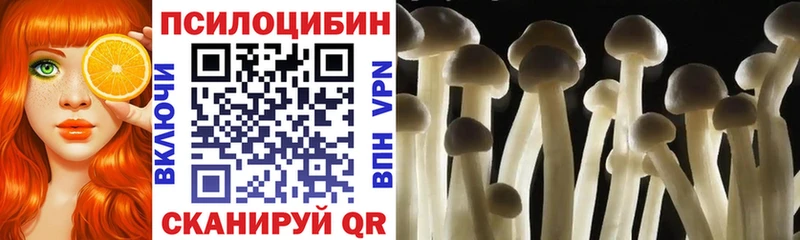 KRAKEN зеркало  Руза  Псилоцибиновые грибы Psilocybine cubensis 